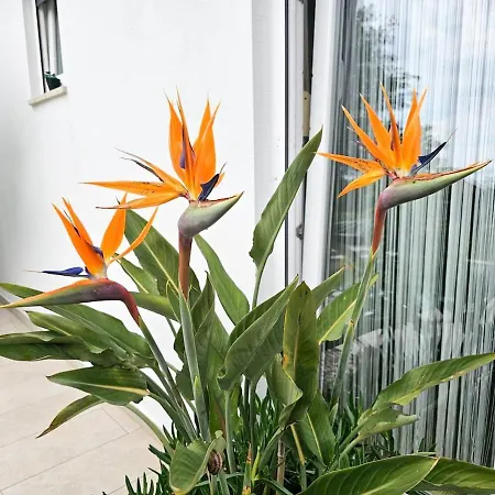 Apartment Peacefull In *